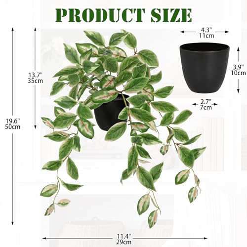 DILATATA Fake Plants Artificial Potted Plants 20 Inch Faux Peperomia Ivy Vine Plant Hanging Plant for Home Office Desk Shelf Indoor Outdoor Decor - color: Peperomia-green&pink