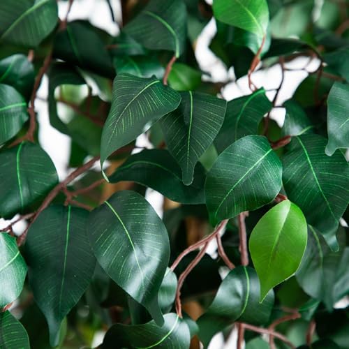 Nearly Natural 74in Artificial Triple Trunk Ficus Tree, Faux Greenery with Natural Wood Trunks for Indoor Home Decor - size: 6ft 2in, style: Tree in Pot
