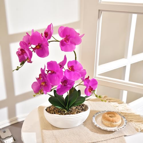 19" H Phalaenopsis Faux Orchid Plant Silk Orchid Centerpiece Artificial Floral Arrangement in Ceramic Pot (Fuchsia) - color: Fuchsia