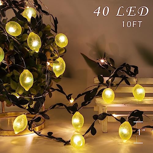 3D Lemon LED String Lights USB/Battery Operated Light String with Remote Timer 10FT 40LEDs Lemon Light Bulbs with Branches Leaves Fairy Lights for Bedroom Birthday Garden Party Decorations - style: Lemon
