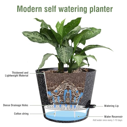 Meowell 12 inch Large Self Watering Pots, Plant Pots with Mesh Drainage Holes for Indoor Outdoor Plants, Plastic Planters with Deep Reservoir for Garden House Flower Plants, Speckled Black - color: Speckled Black, size: 12inch A