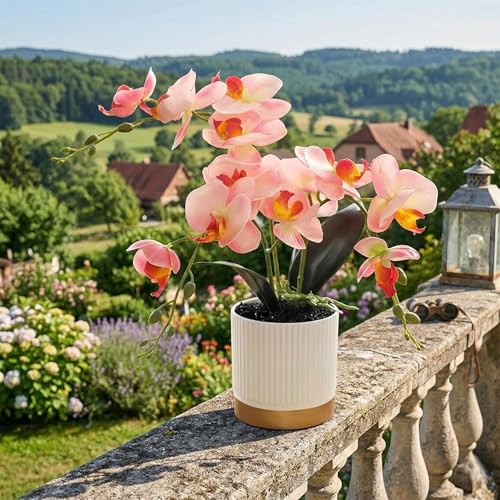 Artificial Orchid Plant with Pot, Realistic Faux Phalaenopsis Orchid with Moss, Lightweight Desktop Decor for Home and Office (Pink Two Branches) - color: Pink Two Branches
