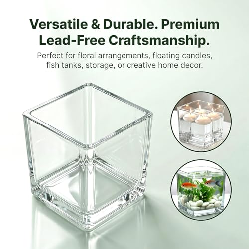 6 Pack Square Glass Vases 5"x 5" x 5", Plant Terrarium, Floating Candle Holder, Clear Bulk Flower Vases for Centerpieces,Wedding Party, Office Decorations, Home Décor, Events - size: 5"-6Pack