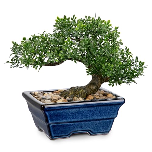 Artificial Bonsai Tree Faux Plants Indoor Fake Plants Decor with Blue Square Ceramic Pots for Home Table Office Desk Bathroom Shelf Bedroom Living Room Farmhouse Decorations - style: Ficus- glaze basin