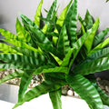 4pcs Artificial Bird Nest Fern Fake Dracaena Plans Faux Greenery Stems for Indoor Outdoor
