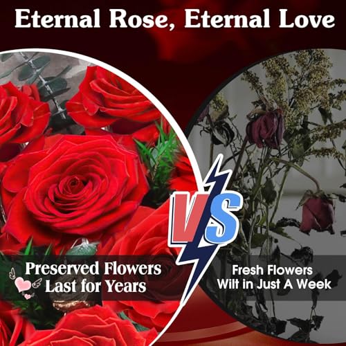 ADDWel 12 Preserved Real Roses Bouquet for Her, Forever Red Flowers with LED Lights, Anniversary Birthday Gifts for Wife Girlfriend Mom, Elegant Home Decor - color: Preserved Red Roses Bouquet - 12 Roses