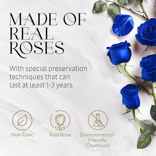 GLAMOUR BOUTIQUE Eternal Preserved Roses in a Box, Flowers Forever, Rose Forever in a Box for Wife or Her, Lasting Real Flower Gift, Elegant Luxury Floral Home Decor, 7 Roses, Blue (Color-Treated) - color: Blue, size: 7 Roses