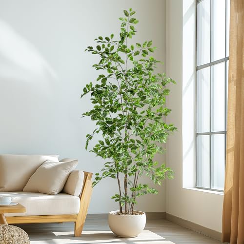 Bailikang Artificial Ficus Tree Indoor 7ft, Large Potted Faux Tree with Realistic Silk Leaves & Trunk for Home Office, Living Room Corner Decor - color: White Green, size: 7ft