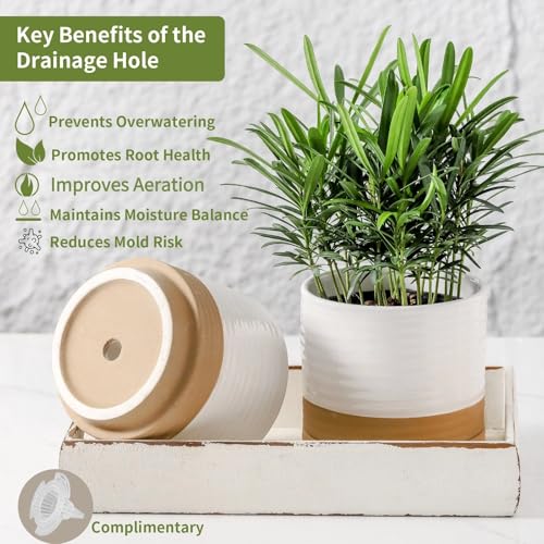 HASENSE Ceramic Plant Pots with Saucers Set of 3, 8+6+4.6 Inch Planters for Indoor Plants with Drainage Holes,Two-Tone Design White Flower Pots for Snake Plants & Cactus,Home & Office Decor - color: White