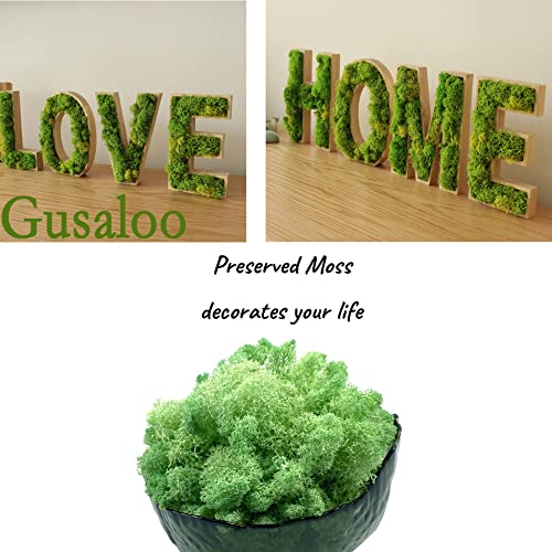Moss Preserved Moss - Natural Fresh Green for Crafts, Arts, Floral Projects, Wall & Table Decor, Wedding Centerpieces, Garden, Artificial Terrariums - Mint-Green 3.5OZ - color: Mint-green, size: 3.5oz