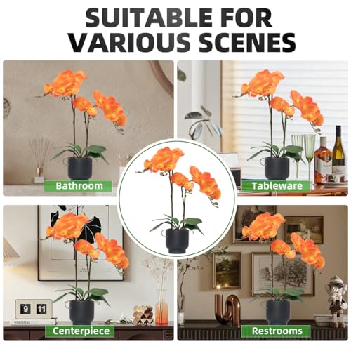 CXGS Orchids Artificial Flowers Real Touch Fake Flowers in Ceramic Pot 20" Orange Faux Orchid Plant Lifelike Silk Phalaenopsis for Centerpiece Hotel Home Indoor Decor - color: Orange- Black Vase