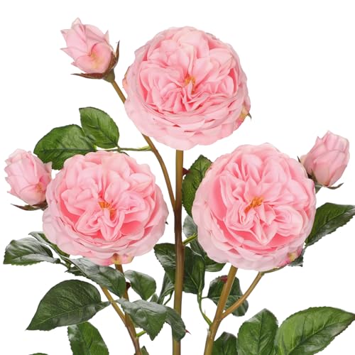 Real Touch Artificial Roses (Set of 3) – 23.6" Long Stem Pink Garden Roses – Lifelike Faux Silk Flowers for Wedding Bouquets, Home Décor, Centerpieces & Floral Arrangements - color: Blush Pink, size: 3 PCS