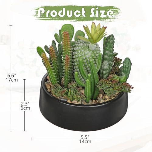 DILATATA Artificial Cactus Plants in Pot 5.5 Inch Fake Succulents Arrangement Potted Plant in Black Ceramic Planter Bowl for Home Office Desk Shelf Living Room Bedroom Bathroom Decor - color: Black Ceramic#style 1