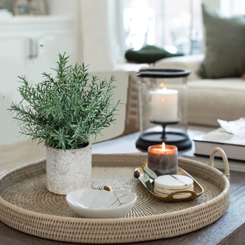 Coferset 2 Pack Small Fake Plants Rosemary Potted Artificial Plants for Shelf Desk Home Bathroom Farmhouse Room Coffee Table Decor (Green) - color: Green-small