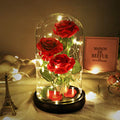 Beauty and The Beast Rose, Classic Red Rose with LED Lights and Falling Petals, Gifts for Women, Birthday Gifts for Women, Light Up Rose in Glass Dome, Valentine's Day Gifts for her - color: Classic Red