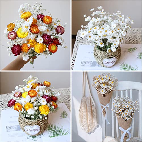 Dried Daisy Flowers Bouquet, 200+ Real Dry White Flowers with Stems, 17'' Gerber Daisies Arrangements for Wedding, Farmhouse Vase Decorations, DIY Home Party Wildflower Decor