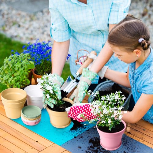 Mumufy 54 Pack 4 Inch Plant Pots Bulk Small Planter with Drainage Hole and Saucer Small Plastic Pots for Flowers Succulent Cactus and All House Indoor(Colorful) - color: Colorful