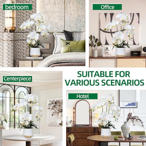 Artificial Orchid Flowers in Ceramic Vase Realistic White Faux Orchids 19.5 Inch Fake Phalaenopsis Plant Arrangements for Home Indoor Centerpiece Decor (Set of 4 Stems) - color: White, size: 14CM- WhiteGolden