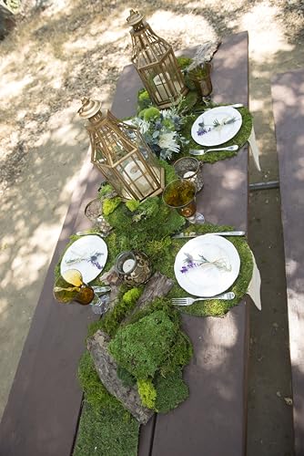 SuperMoss (26280) Mossy Placemat, Fairy Garden Table Wedding Decor Preserved Forest Moss, 12 in Round