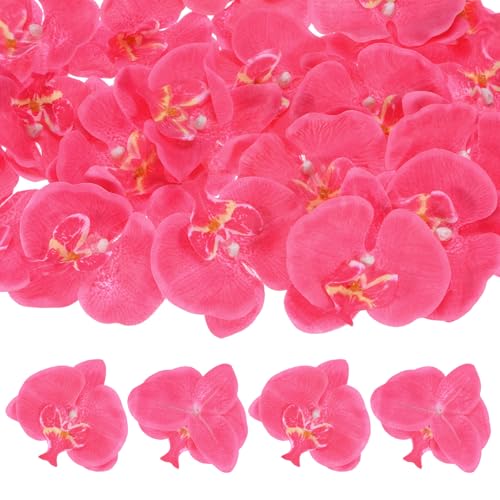 M METERXITY 20-Pack Artificial Orchid Flower Heads, Silk Faux Butterfly Flowers Head for Wedding/Bouquet/Bridal/Party Decor, Fake Phalaenopsis Petals Bulk [3.54 Inch, Rose Red] - color: Rose Red, size: 3.54 Inch