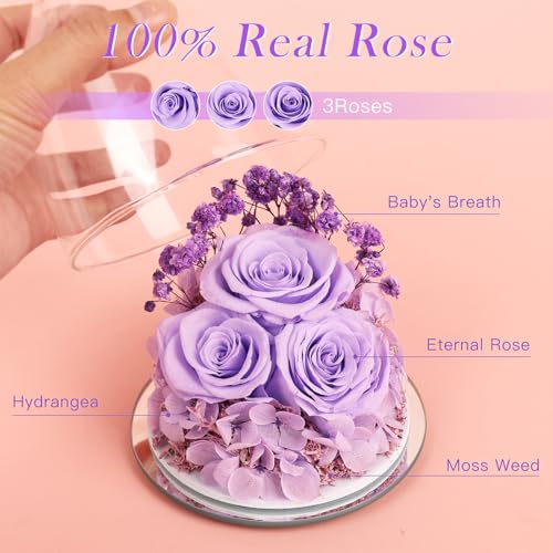 Mothers Day Flowers Gifts for Mom Flowers for Delivery Preserved Flowers Forever Real Fresh Roses in Glass Angel Figurines Birthday Gifts for Women Anniversary Present for Grandma Wife from Daughter - color: Light Purple (Rose, Baby's Breath, Hydrangea)