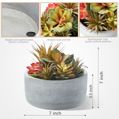 6 Inch Artificial Succulent Plants in Pots,Realistic Fake Succulents with Gray Ceramic Pot for Home Office Desk Bathroom Coffee Table Decor - color: Grey#1, size: 6inch