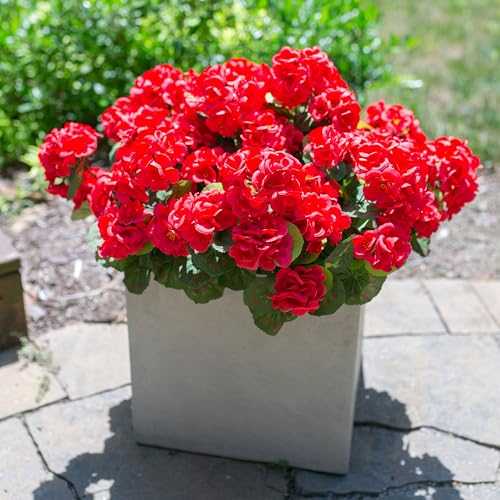 Fake Geraniums Artificial Flowers for Outdoors Outside, 6 Bundles Red Silk Geraniums Fake Flowers Plants Realistic UV Resistant Faux Flowers for Outdoor Planters Garden Balcony Yard Porch Indoor Decor - color: Red