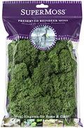 SuperMoss (23080) Reindeer Moss Preserved, Basil, 2 Ounces (Pack of 12) - size: 2 oz (Pack of 12)