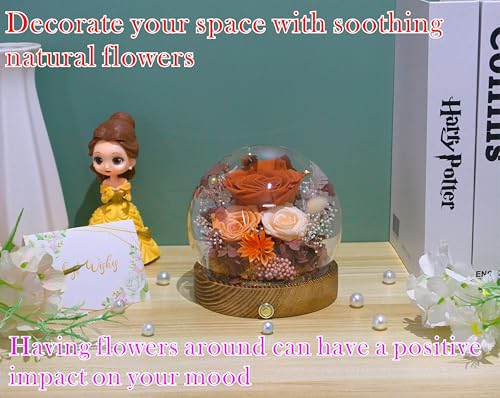 Valley of Rain & Forest Long-Lasting Real Flowers, Unique Floral Gift For You to Send Love for All Occasions, for Indoor Decoration (Orange Rose & Champagne Rose - Fall Themed) - color: Orange Rose & Champagne Rose - Fall Themed