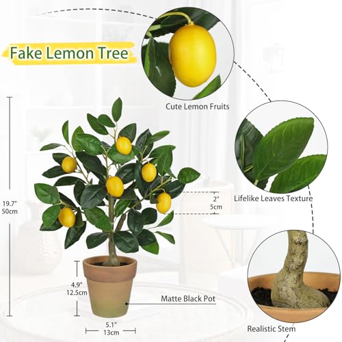 Oairse Artificial Potted Plants 19.7 inches Small Fake Lemon Tree Artificial Lemons Citrus Tree with Terracotta Pot Faux Plants Indoor Lemon Decorations for Home,Office, Living Room Table, Desk - style: Terracotta Pot