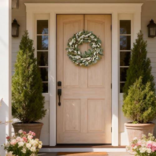 22 Inch Spring Summer Lamb Ears Leaves Wreath with Ivory Forsythia Flower, Year Round Greenery Floral Wreath for Front Door, All Seasons Rustic Farmhouse Everyday Wreath for Indoor Outdoor Decor - color: Wreath