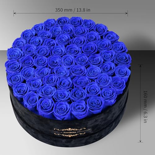 Gifts for Women – NATROSES 60 Preserved Roses in Luxury Black Velvet Box, Preserved Flowers for Delivery Gift for Her, Elegant Rose for Birthday, Mother’s Day, Christmas (Royal Blue) - color: Royal Blue, size: 60 Roses