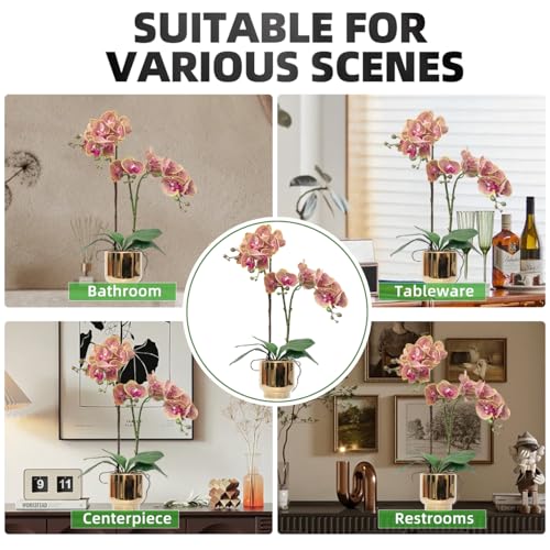 CXGS Orchids Artificial Flowers Real Touch Fake Flowers in Ceramic Pot 20" Purple Dapple Faux Orchid Plant Lifelike Silk Phalaenopsis for Centerpiece Hotel Home Indoor Decor - color: Purple Dapple- Gold Vase