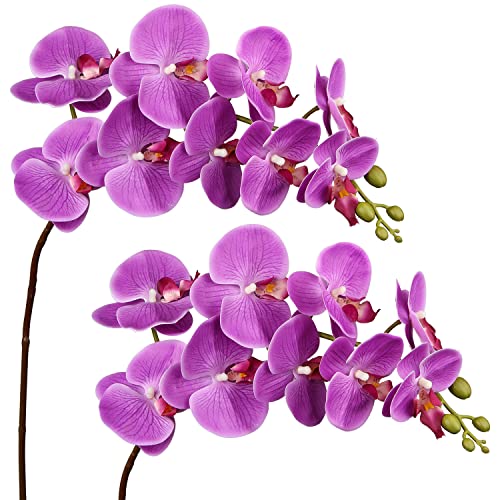 DILATATA Blooming Phalaenopsis Orchid 31.5" Tall Real Touch Artificial Orchid with 9 Large Flowers Fake Orchids Artificial Flowers for Decoration Home Arrangement-Purple Orchids Flowers 2pcs - color: Purple #21
