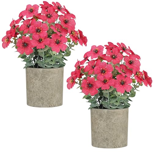 2 Pack Small Fake Plants Potted Artificial Plants Artificial Flowers Potted Faux Flower Daisy with Eucalyptus Leaves for Home Decor Office Room Farmhouse Indoor Table Bathroom Decor（Magenta） - color: Magenta