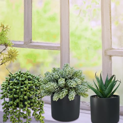 Winlyn Set of 3 Small Artificial Potted Succulent Plants Faux Aloe Hops String of Pearls Succulents in Black Cylinder Pots for Gift Home Office Bathroom Indoor Outdoor Table Shelf Windowsill Décor - color: Black Ceramic Pots