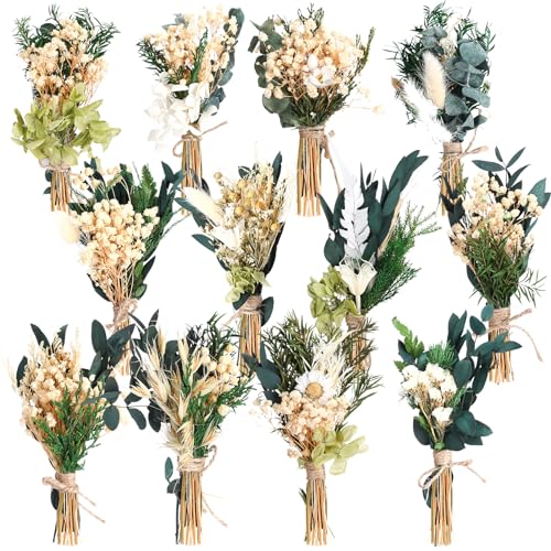 Layhit 12 Pcs Boho Dried Flower Bouquet Mini Wedding Handmade Dry Flowers Decor for Vase Crafts DIY Photo Boutonniere for Men Floral Plant for Bridesmaid Gift Birthday Decor(Fresh) - style: Eucalyptus