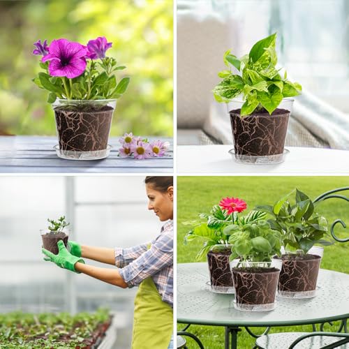 WSMKSZ 3 Inch Clear Nursery Pots, 60 Pack Highly Transparent Plastic Seedling Starter Planters with Drainage Holes and Trays for Flowers, Small Plant Pots for Indoor Plants - size: 3inch 60pcs