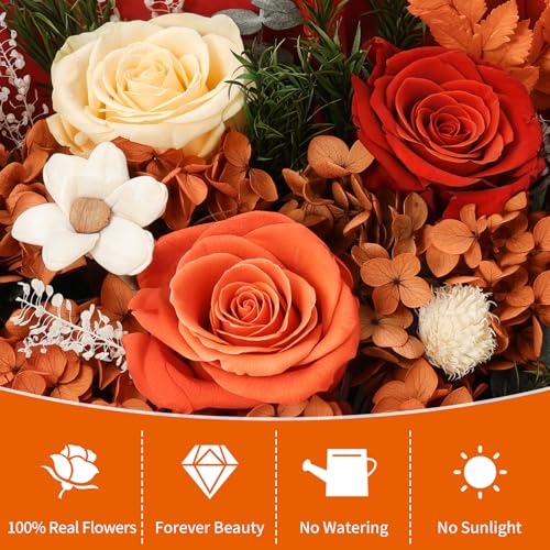 Lewondr Flower for Delivery, Preserved Flowers Bouquet, Orange Roses Bouquet, Real Long-Lasting Forever Birthday Flowers Gifts for Mom Best Friend Mothers Day Christmas Graduation, Dark-Orange - color: Dark Orange