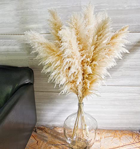10 Stems 46" inch Dried Pampas Grass Decor Tall, Large Pompas Grass, Boho Neutral Home Decor Bouquet, Fluffy Pampass Grass for Floor Vase Wedding Floral Arrangements Wall Farmhouse Table Decor - size: 10PCS-46inch