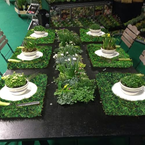 FAICOIA 2 Pcs Floral Moss Rug Roll Dried Moss Sheets for Crafts Table Runner Fairy Gardens Wedding Woodland Decor 12" x 71" Preserved Green Moss Mat for Forest Decoration Carpet Grass Wall 30x180cm - color: 2 Pcs 12 x 71 Inch/30 x 180 cm