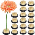 16 Pcs 1.42 Inch Kenzan Flower Pins, Arranging Vase Holders, Brass Needle Stem Holders for Floral Arrangement, Round Flower Fixed Tools, Efficient Design for Various Vessels