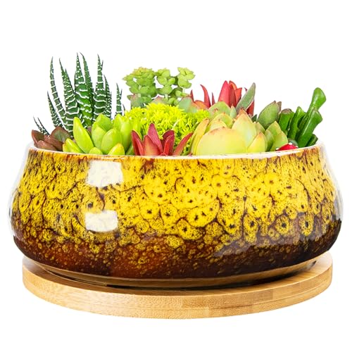 ARTKETTY Succulent Pots - 8 Inch Plant Pot, Large Bonsai Pots with Drainage Tray, Ceramic Planters for Indoor Outdoor Plants, Round Shallow Cactus Flower Plant Container Bowl Decorative Home Garden - color: Yellow
