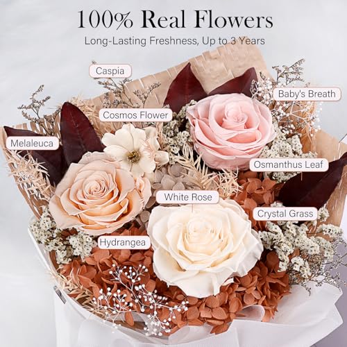 Preserved Bouquet of Flowers - Forever Flowers for Delivery, Real Eternal Roses, Mothers Day Gifts for Mom Grandma Wife, Anniversary Birthday Gifts for Women, Champagne - color: Champagne