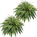 CQURE 108 Branches Fake Ferns Artificial Plants Large, 50" Set of 2 Artificial Boston Ferns Faux Hanging Fake Plants for Outdoors Planter Home Garden Decor - size: 50'' 108 leaves-B--2pcs