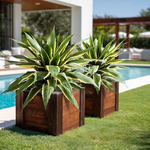 Artificial Agave Plant Fake Agave Planters for Indoor Outdoor Faux Agave Plants Real Touch Realistic Greenery for Home Living Room Office Bathroom Garden Front Porch Patio Decor (29inch-2 Pcs Yellow) - size: 29inch-2 Pcs Yellow
