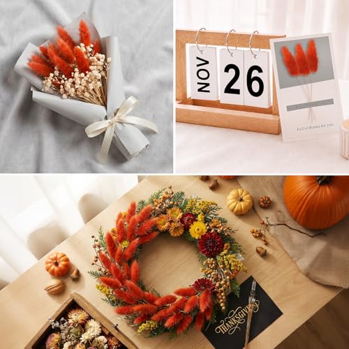 Uieke 17’’ Natural Bunny Tails Dried Flowers, 50 Pcs Dried Lagurus Ovatus, Dried Burnt Orange Pampas Grass Decor for Farmhouse Flower Arrangements Wedding Home Boho Party Decorations - color: Burnt Orange-50pcs