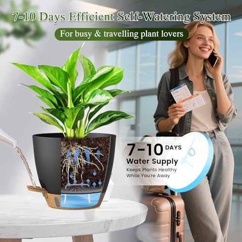 Self Watering Pots with Drainage Holes, 2 Pack 8 Inch Plant Pots with Water Level Indicator Deep Reservoir, Large Plastic Planter for Indoor Outdoor Plants - Black Brown - color: Black Brown, size: 8 Inch 2 Pack