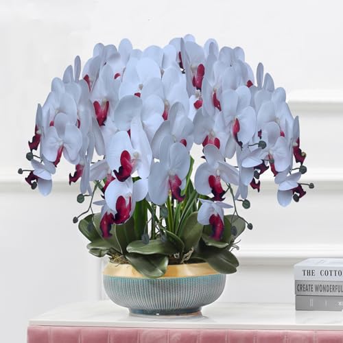 FagusHome 32 Inch Artificial Phalaenopsis Flowers 6 Pcs Artificial Orchid Flowers Stem Plants for Home Décor (Pure White) - color: Pure White