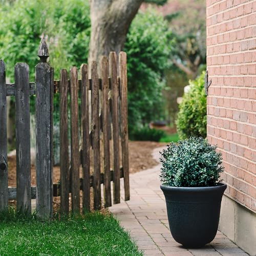 BOTARO TRESIL Set of 2 - Pre-Potted 24" High Ball Shaped Boxwood Topiary- 16" Diameter - Plastic Pot - size: 23"